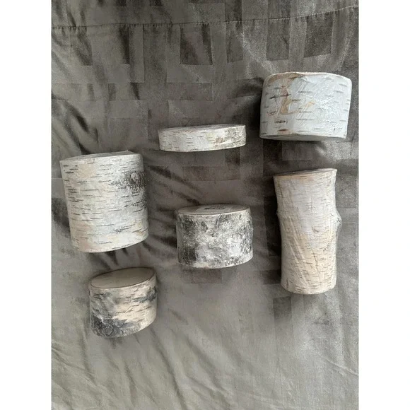 ArtMinds Birch Wood Rounds Slice Natural Unfinished Craft Decor Lot Of 6 USA - Picture 4 of 16